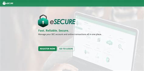 esecure sec|SEC Company Registration Application .
